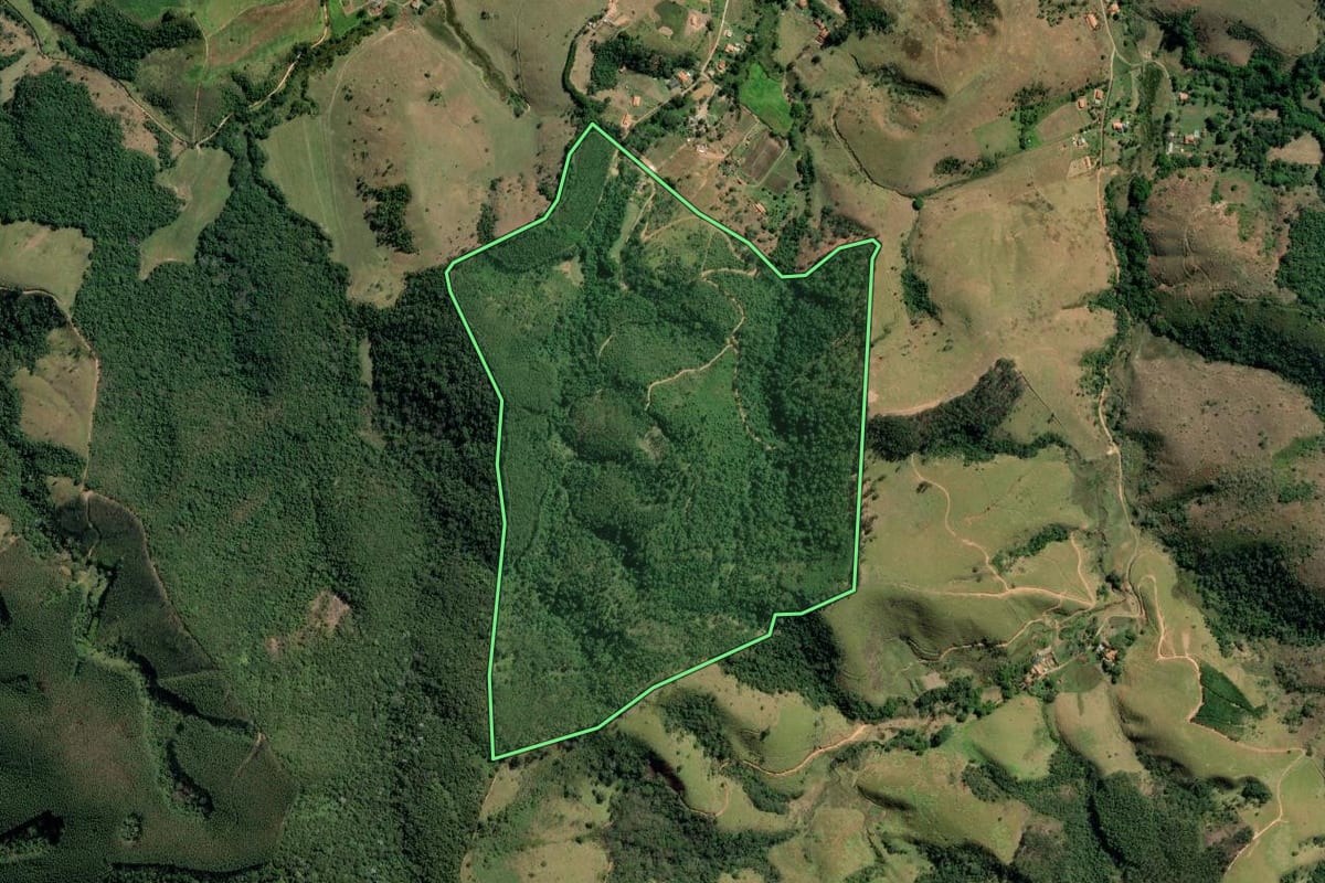 Imagem de satélite do imóvel rural em Aparecida (SP), com o contorno declarado no CAR desenhado por cima.