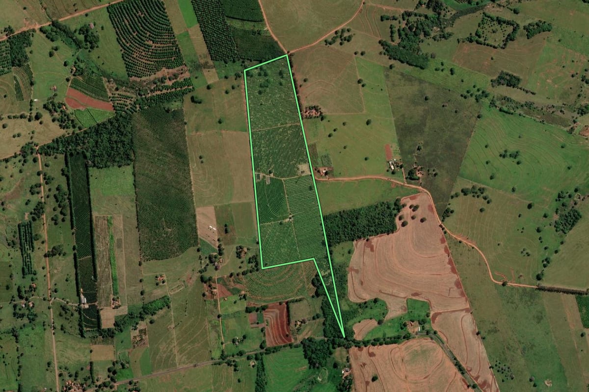 Imagem de satélite do imóvel rural em Aparecida d'Oeste (SP), com o contorno declarado no CAR desenhado por cima.