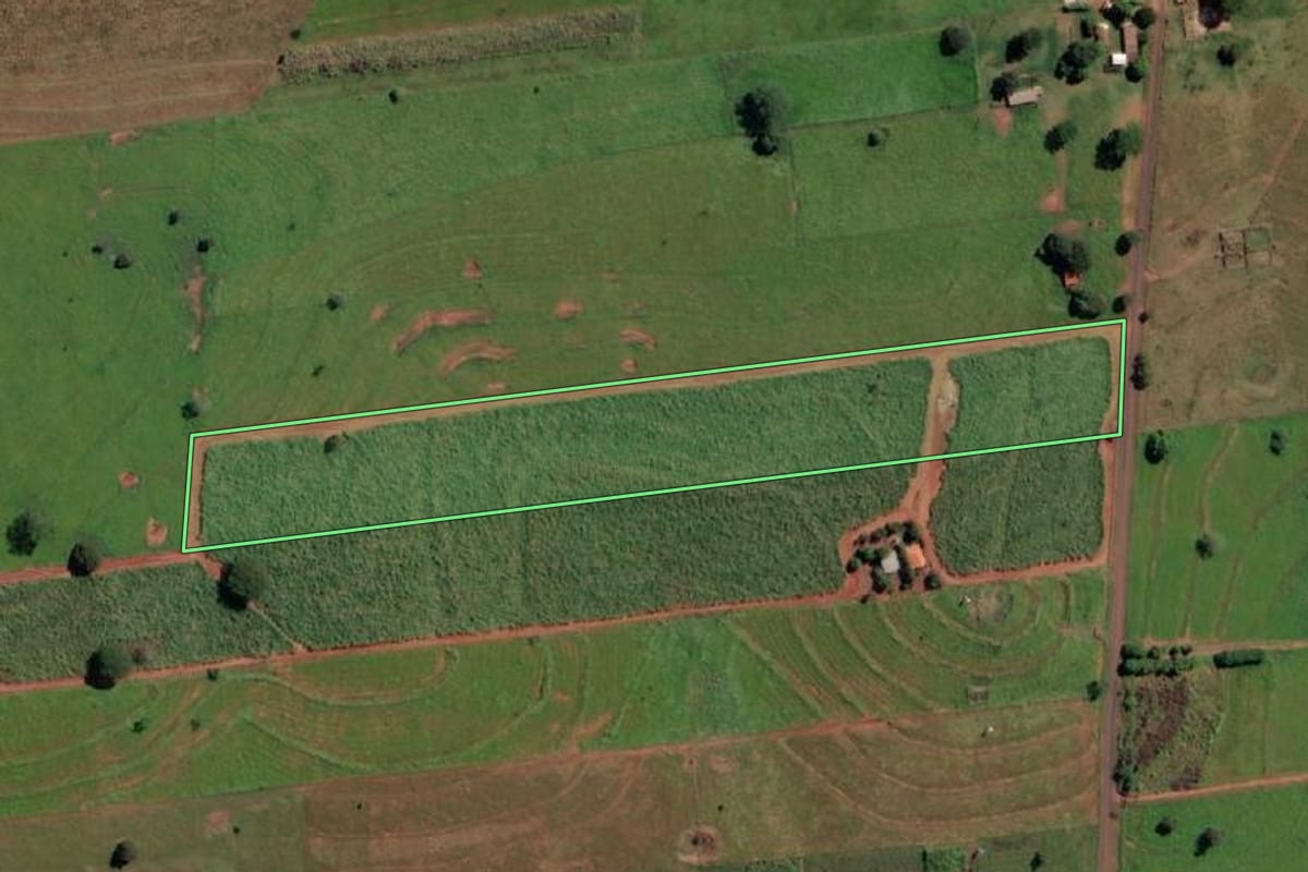 Imagem de satélite do imóvel rural em Aparecida d'Oeste (SP), com o contorno declarado no CAR desenhado por cima.