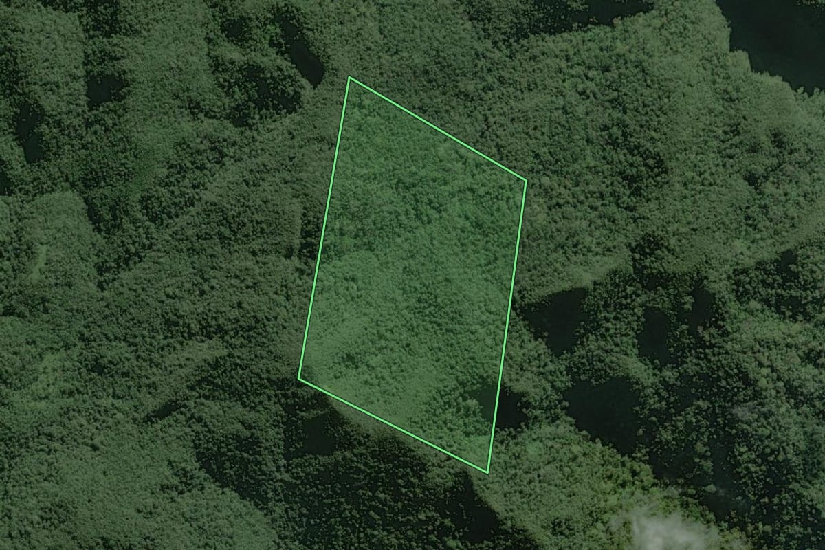 Imagem de satélite do imóvel rural em Apiaí (SP), com o contorno declarado no CAR desenhado por cima.