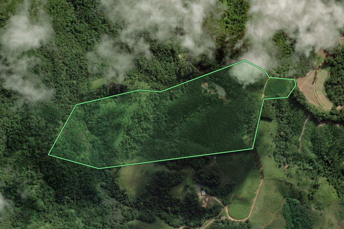 Imagem de satélite do imóvel rural em Apiaí (SP), com o contorno declarado no CAR desenhado por cima.