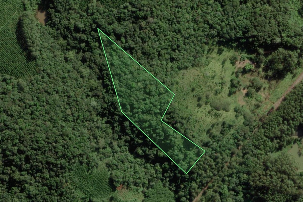 Imagem de satélite do imóvel rural em Apiaí (SP), com o contorno declarado no CAR desenhado por cima.
