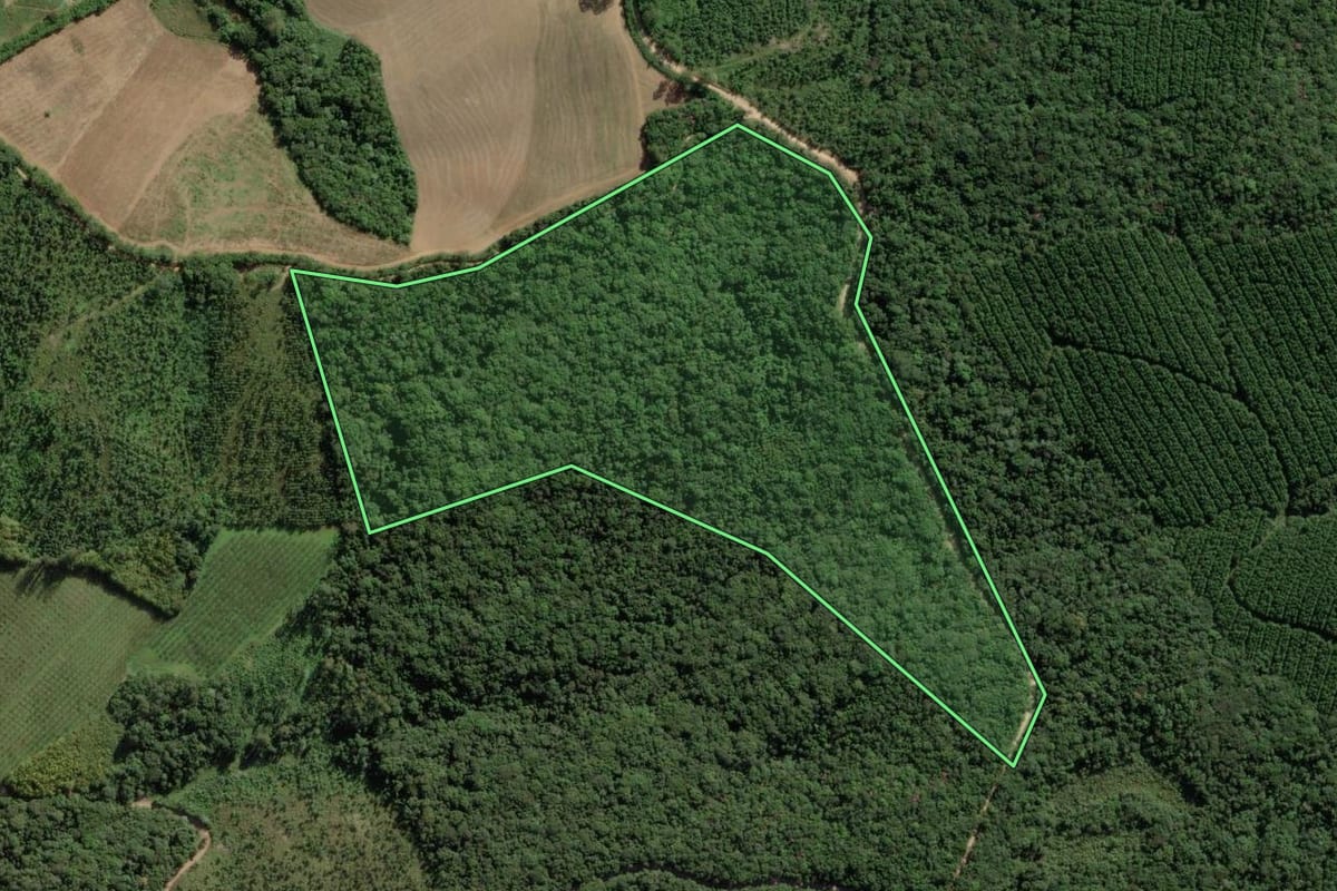 Imagem de satélite do imóvel rural em Apiaí (SP), com o contorno declarado no CAR desenhado por cima.