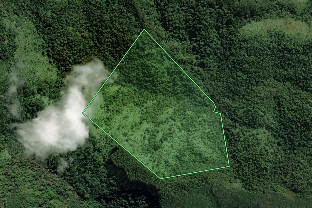Imagem de satélite do imóvel rural em Apiaí (SP), com o contorno declarado no CAR desenhado por cima.