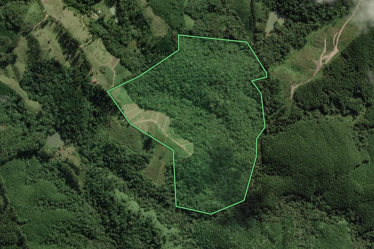 Imagem de satélite do imóvel rural em Apiaí (SP), com o contorno declarado no CAR desenhado por cima.