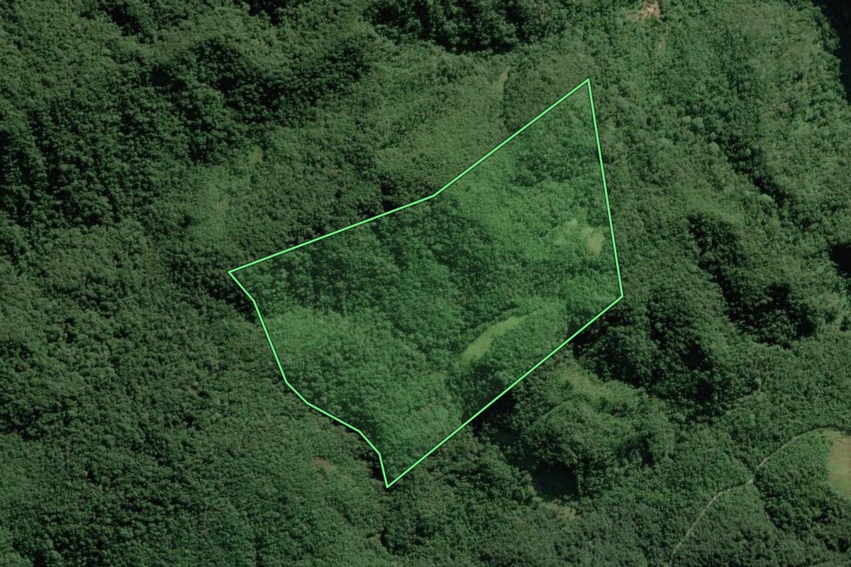 Imagem de satélite do imóvel rural em Apiaí (SP), com o contorno declarado no CAR desenhado por cima.