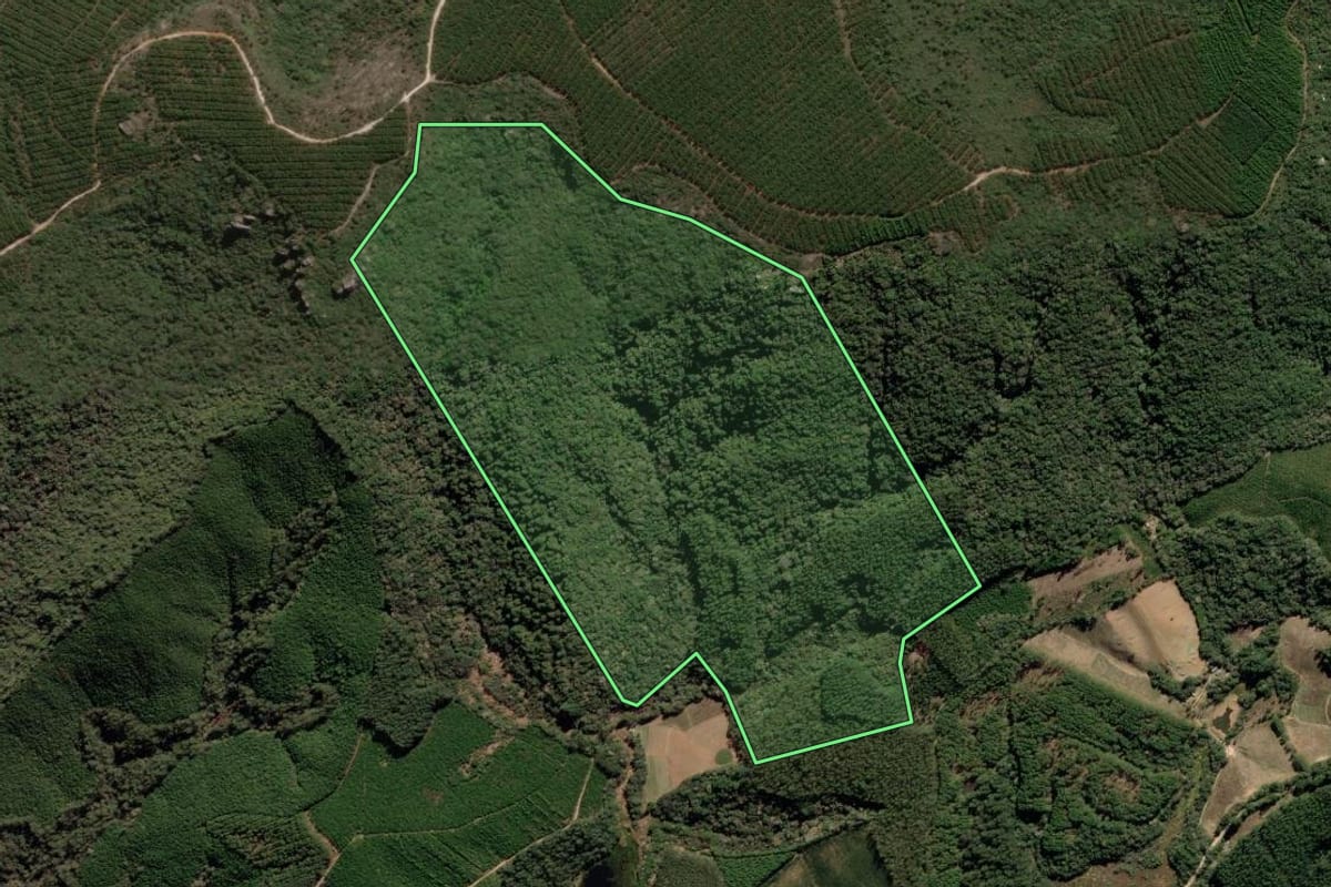 Imagem de satélite do imóvel rural em Apiaí (SP), com o contorno declarado no CAR desenhado por cima.