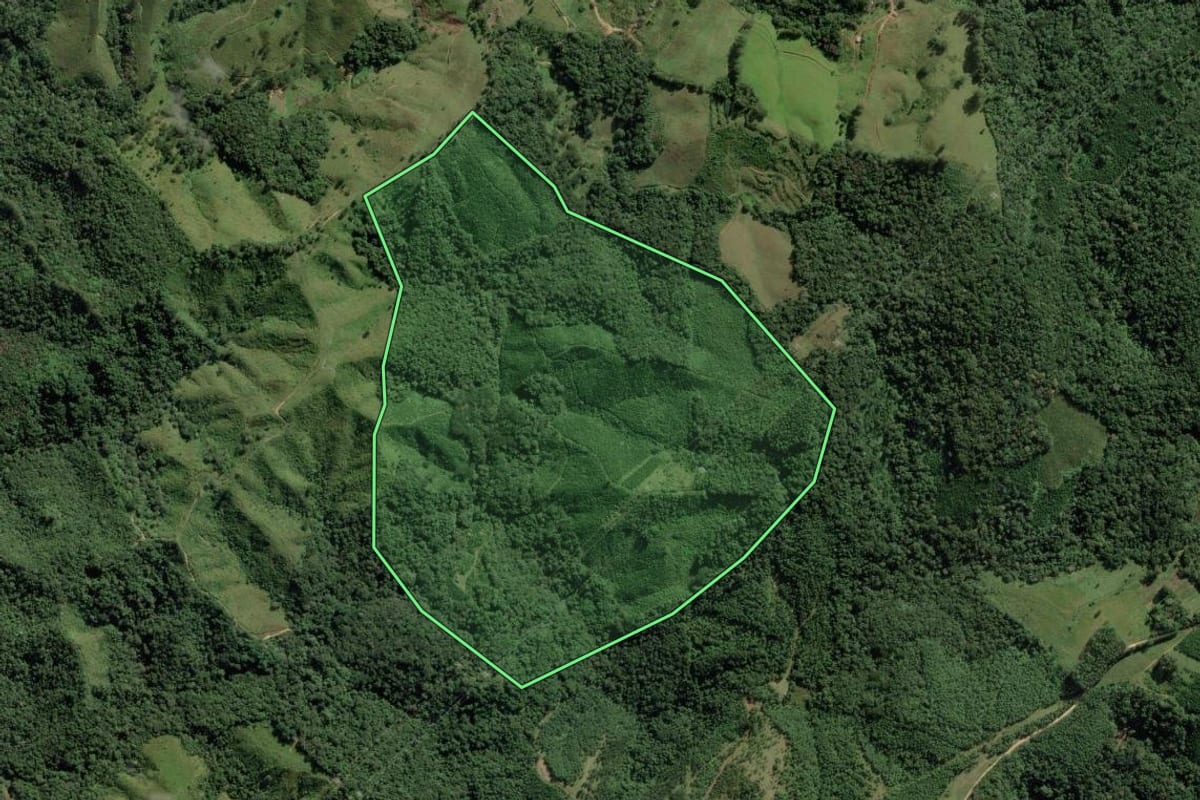 Imagem de satélite do imóvel rural em Apiaí (SP), com o contorno declarado no CAR desenhado por cima.