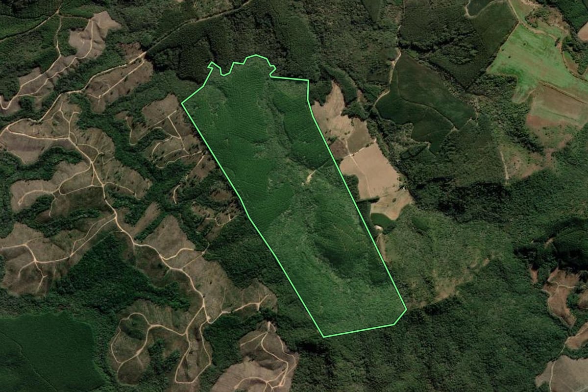 Imagem de satélite do imóvel rural em Apiaí (SP), com o contorno declarado no CAR desenhado por cima.