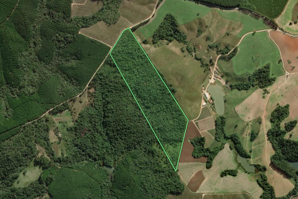 Imagem de satélite do imóvel rural em Apiaí (SP), com o contorno declarado no CAR desenhado por cima.
