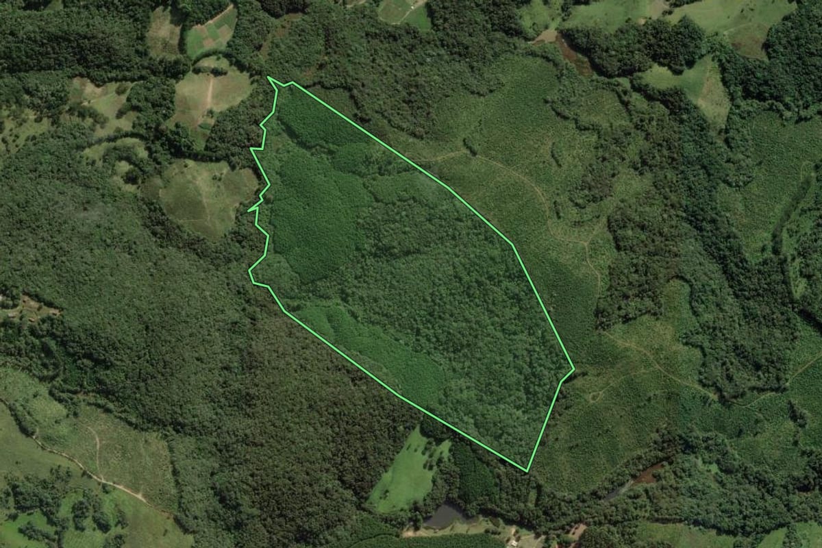 Imagem de satélite do imóvel rural em Apiaí (SP), com o contorno declarado no CAR desenhado por cima.