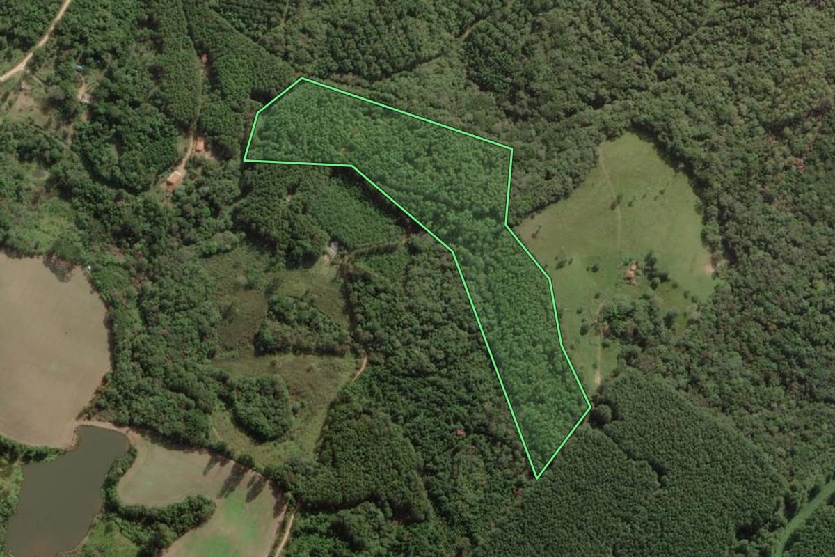 Imagem de satélite do imóvel rural em Apiaí (SP), com o contorno declarado no CAR desenhado por cima.