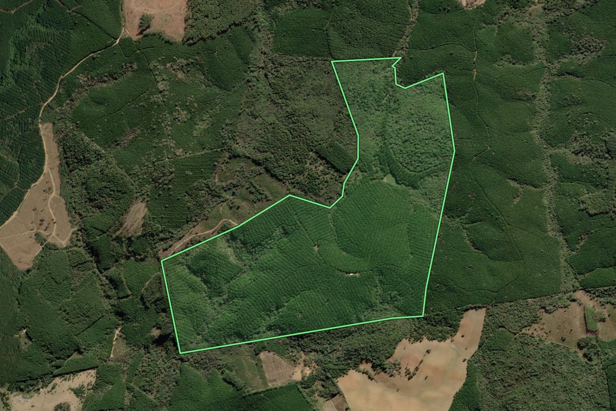 Imagem de satélite do imóvel rural em Apiaí (SP), com o contorno declarado no CAR desenhado por cima.