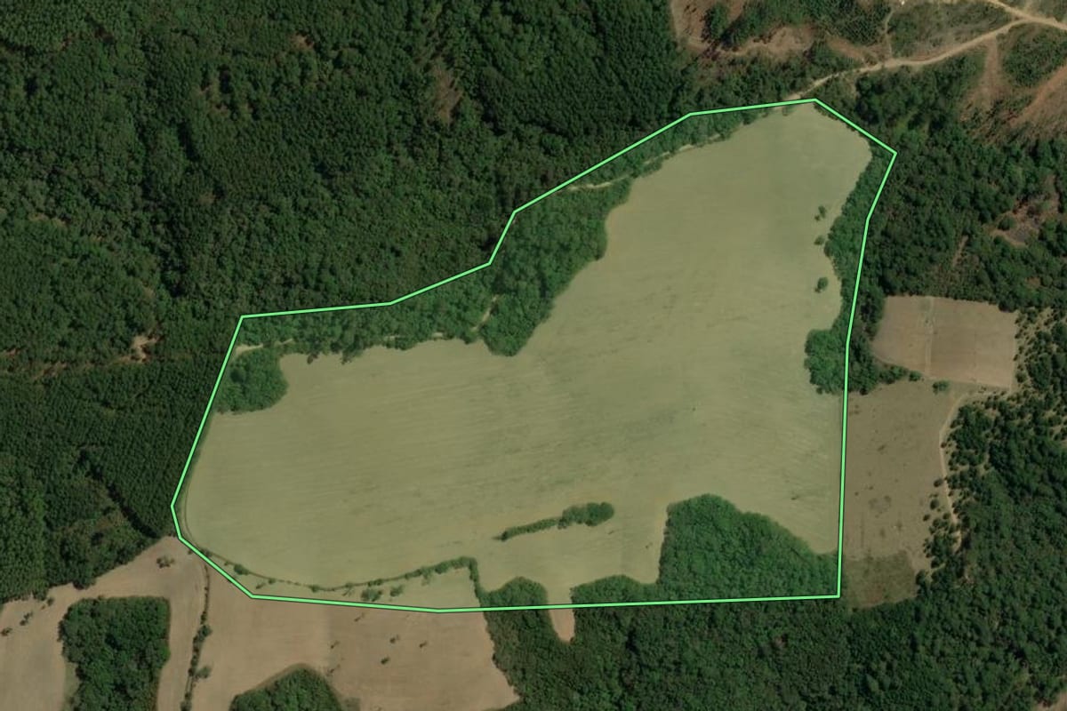 Imagem de satélite do imóvel rural em Apiaí (SP), com o contorno declarado no CAR desenhado por cima.