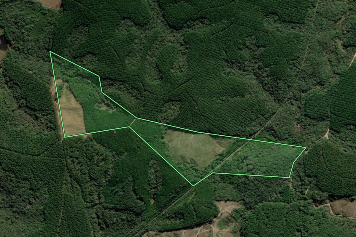 Imagem de satélite do imóvel rural em Apiaí (SP), com o contorno declarado no CAR desenhado por cima.