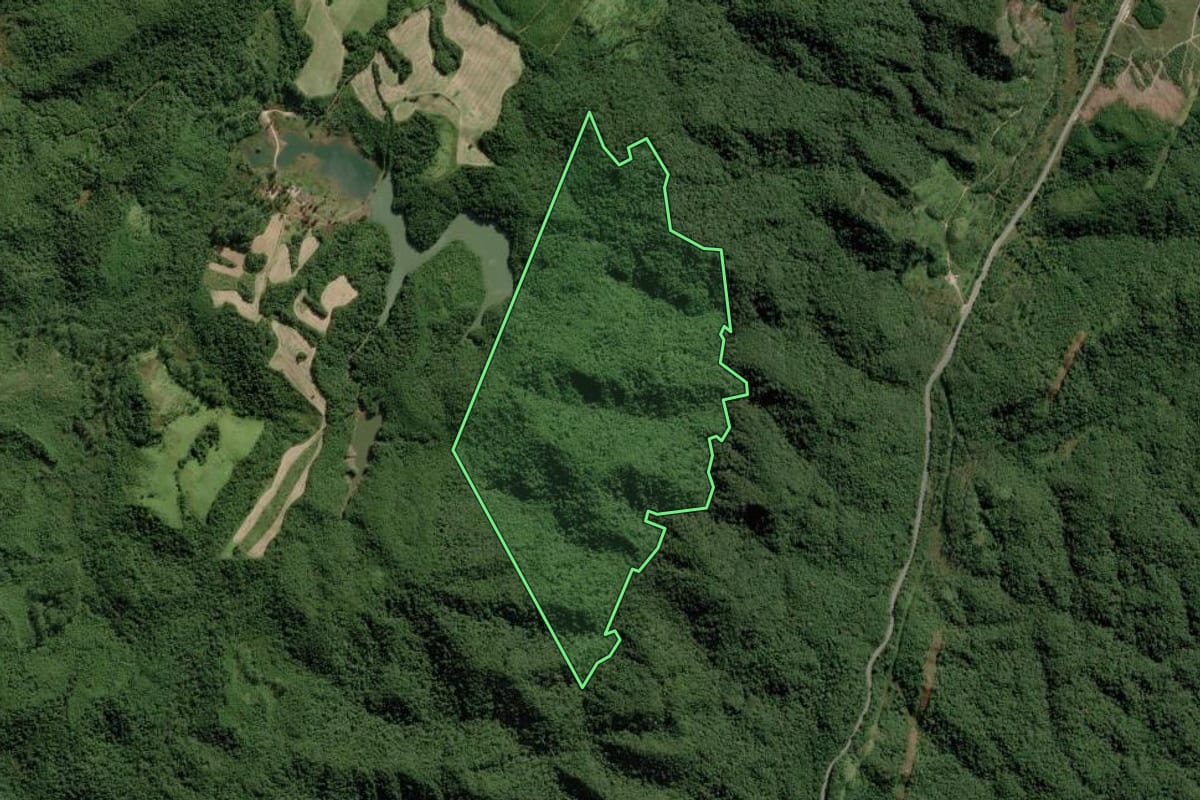Imagem de satélite do imóvel rural em Apiaí (SP), com o contorno declarado no CAR desenhado por cima.