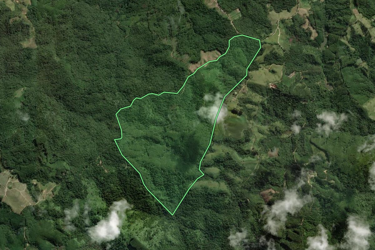Imagem de satélite do imóvel rural em Apiaí (SP), com o contorno declarado no CAR desenhado por cima.