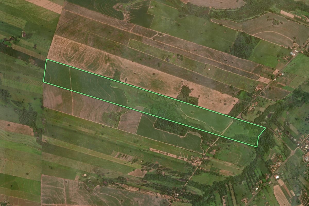 Imagem de satélite do imóvel rural em Araçatuba (SP), com o contorno declarado no CAR desenhado por cima.