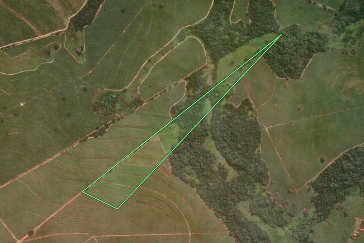 Imagem de satélite do imóvel rural em Araçatuba (SP), com o contorno declarado no CAR desenhado por cima.