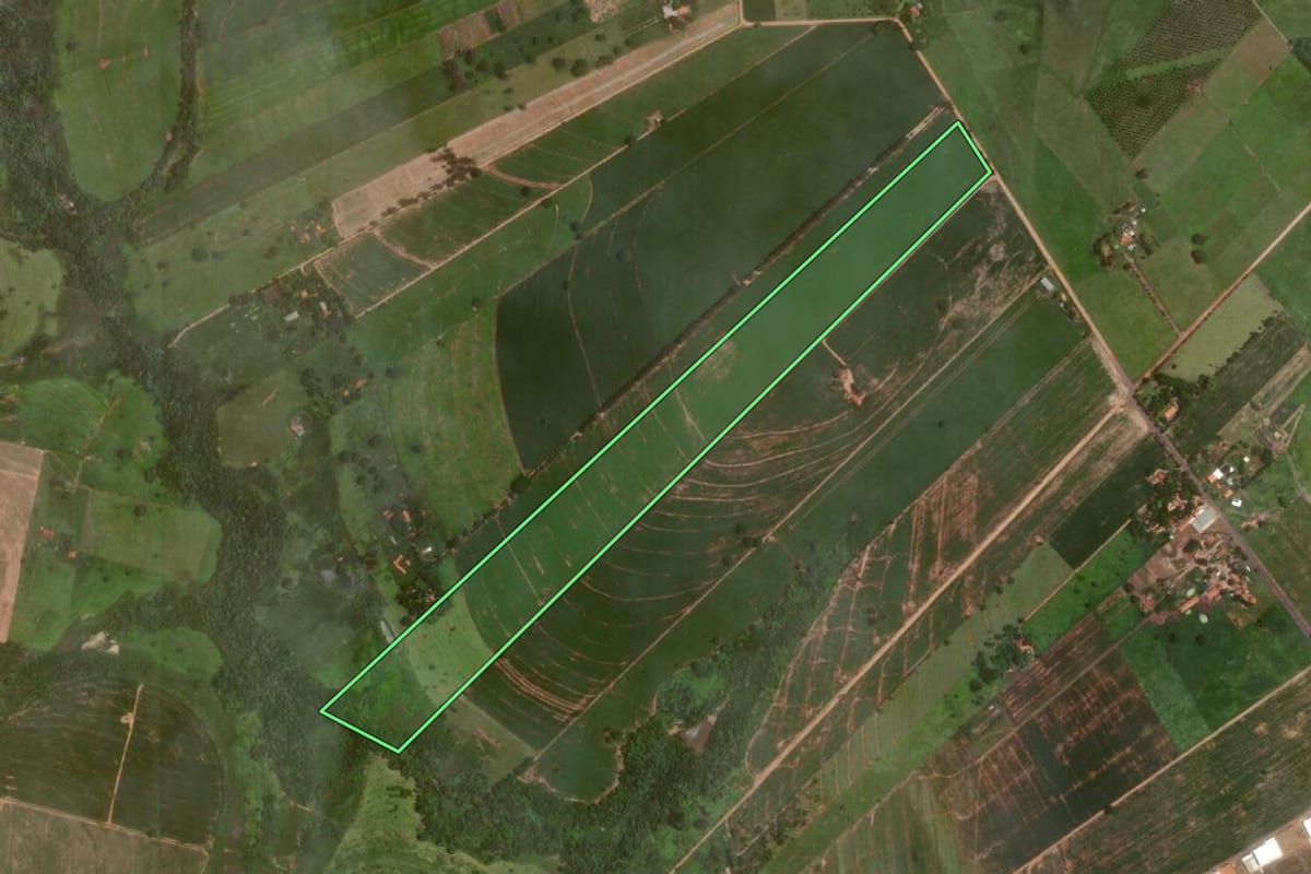 Imagem de satélite do imóvel rural em Araçatuba (SP), com o contorno declarado no CAR desenhado por cima.