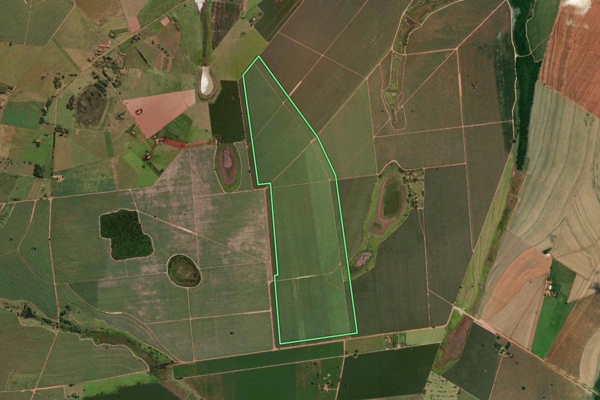 Imagem de satélite do imóvel rural em Araçatuba (SP), com o contorno declarado no CAR desenhado por cima.