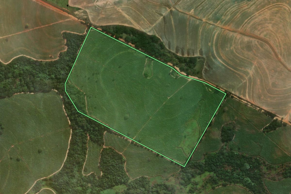 Imagem de satélite do imóvel rural em Araçatuba (SP), com o contorno declarado no CAR desenhado por cima.
