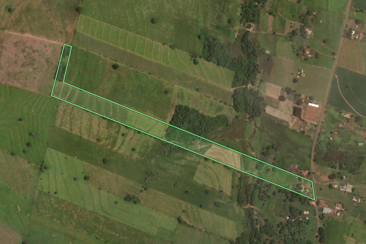 Imagem de satélite do imóvel rural em Araçatuba (SP), com o contorno declarado no CAR desenhado por cima.