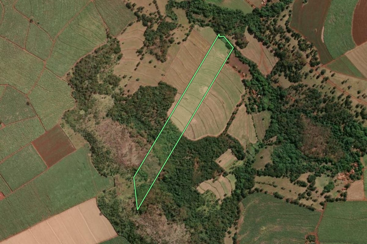 Imagem de satélite do imóvel rural em Aramina (SP), com o contorno declarado no CAR desenhado por cima.