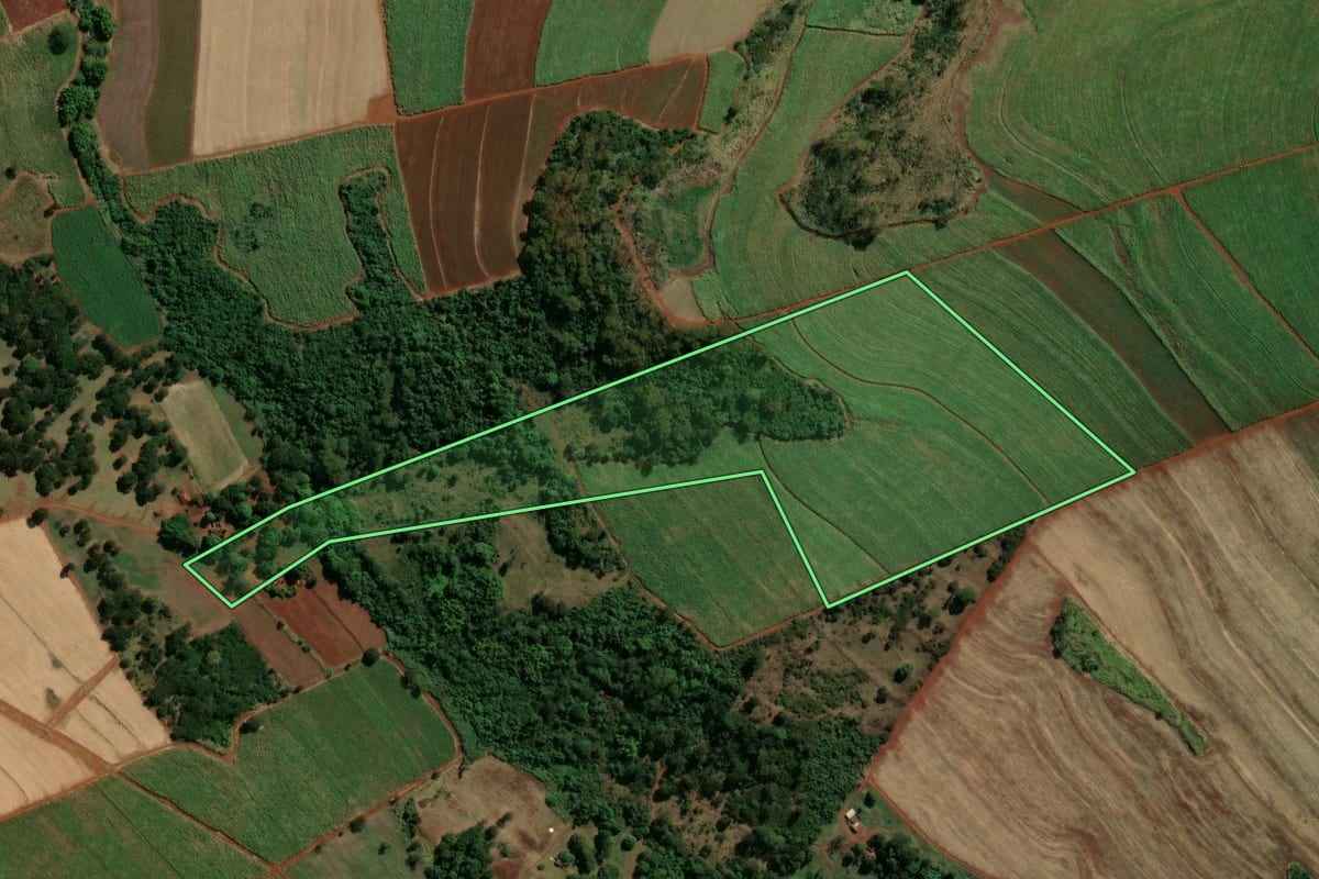 Imagem de satélite do imóvel rural em Aramina (SP), com o contorno declarado no CAR desenhado por cima.