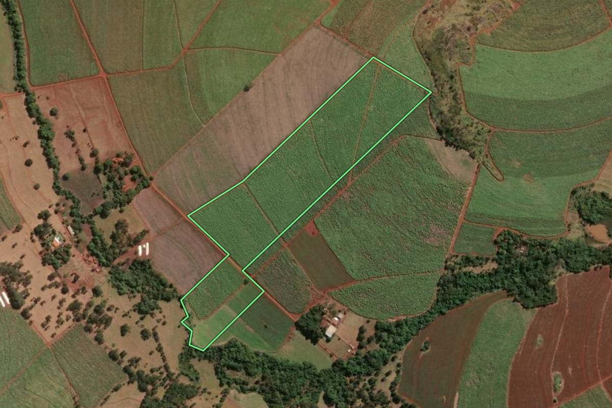 Imagem de satélite do imóvel rural em Aramina (SP), com o contorno declarado no CAR desenhado por cima.