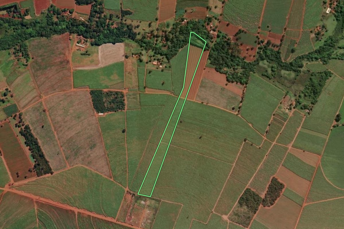 Imagem de satélite do imóvel rural em Aramina (SP), com o contorno declarado no CAR desenhado por cima.