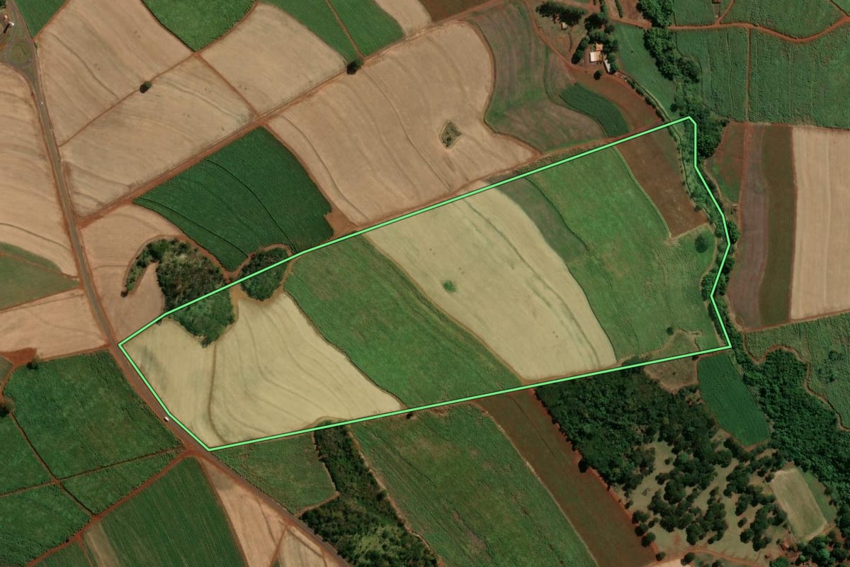 Imagem de satélite do imóvel rural em Aramina (SP), com o contorno declarado no CAR desenhado por cima.