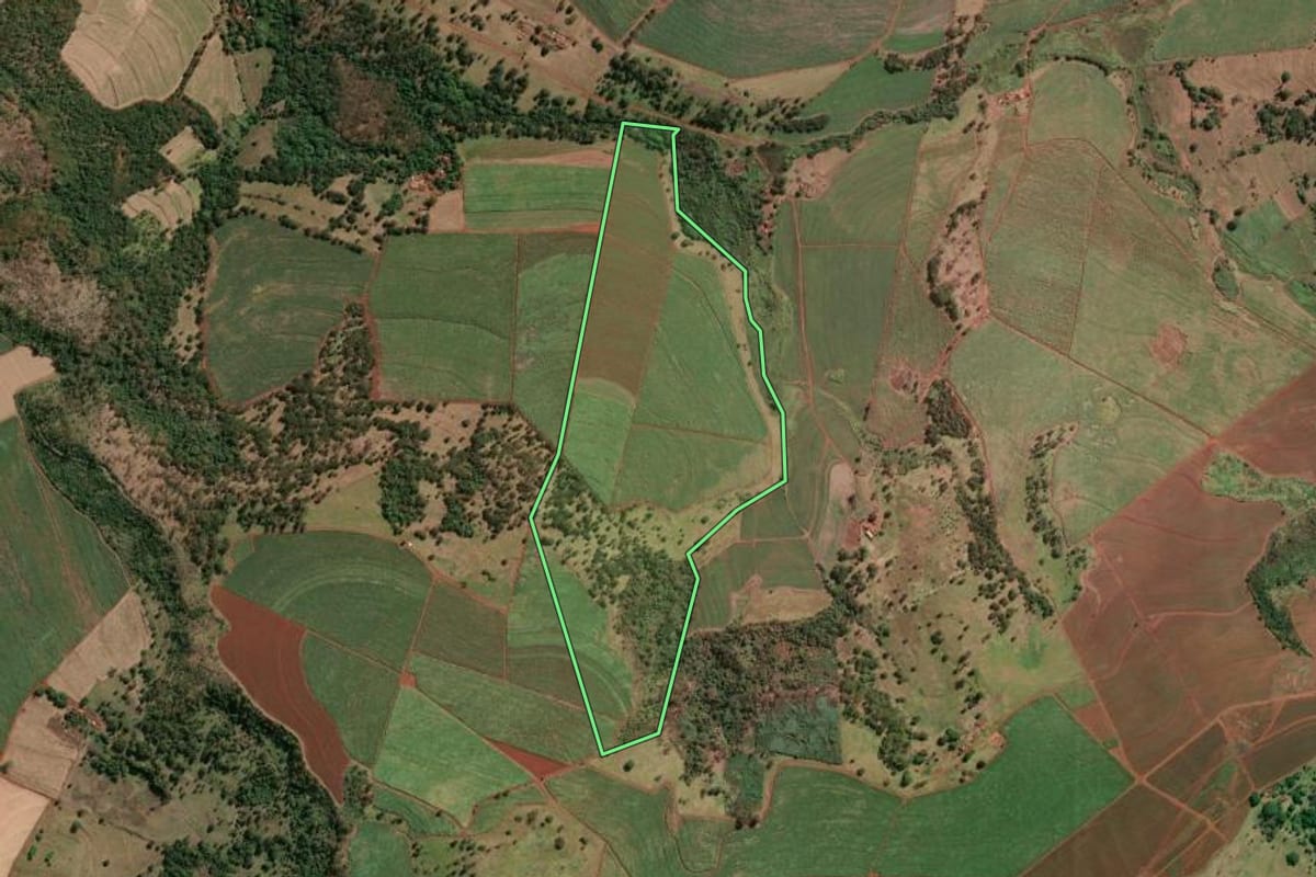 Imagem de satélite do imóvel rural em Aramina (SP), com o contorno declarado no CAR desenhado por cima.