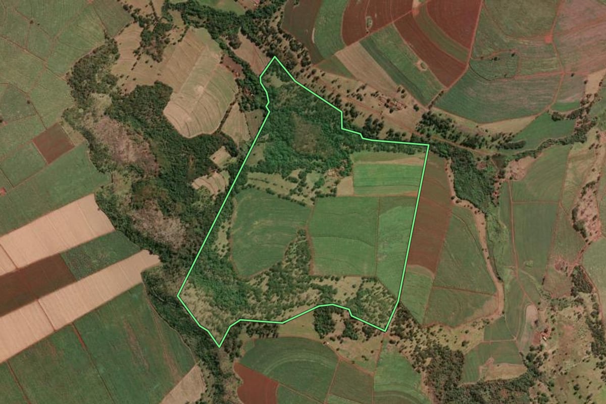 Imagem de satélite do imóvel rural em Aramina (SP), com o contorno declarado no CAR desenhado por cima.