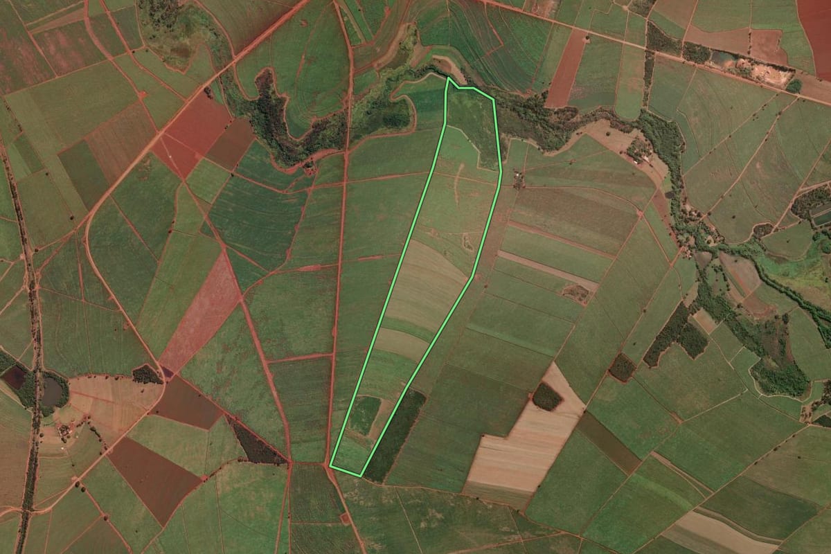 Imagem de satélite do imóvel rural em Aramina (SP), com o contorno declarado no CAR desenhado por cima.