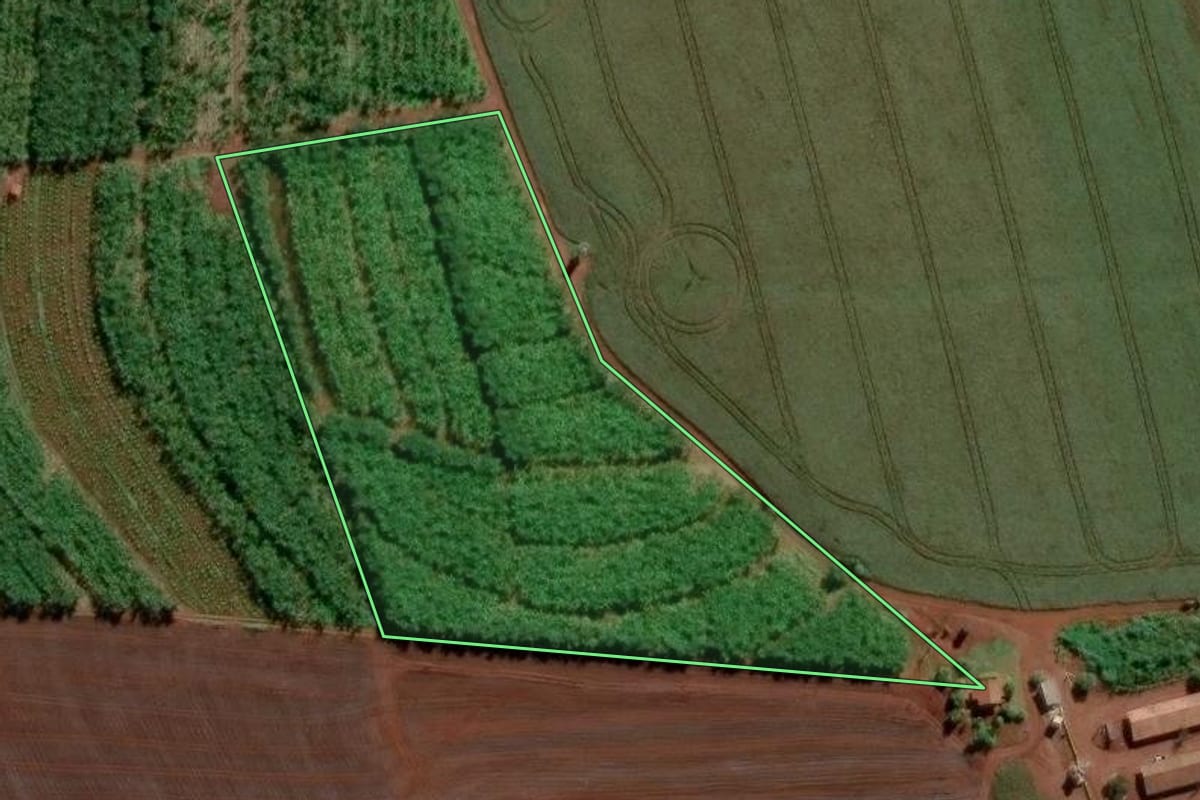 Imagem de satélite do imóvel rural em Arandu (SP), com o contorno declarado no CAR desenhado por cima.