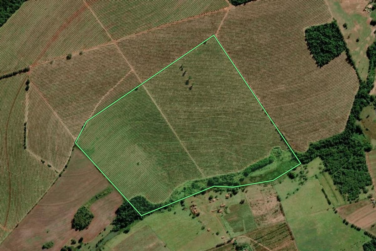 Imagem de satélite do imóvel rural em Arandu (SP), com o contorno declarado no CAR desenhado por cima.