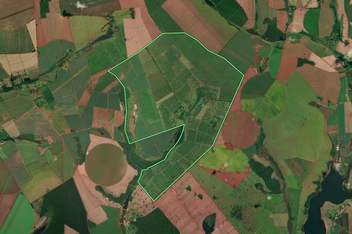 Imagem de satélite do imóvel rural em Arandu (SP), com o contorno declarado no CAR desenhado por cima.
