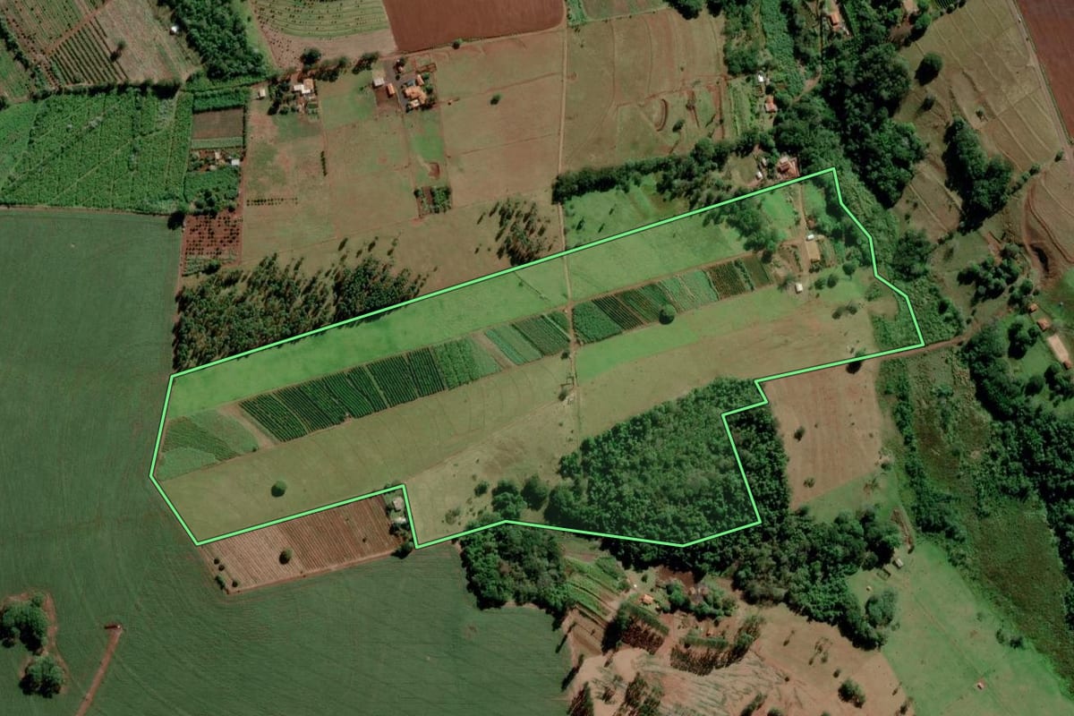 Imagem de satélite do imóvel rural em Arandu (SP), com o contorno declarado no CAR desenhado por cima.