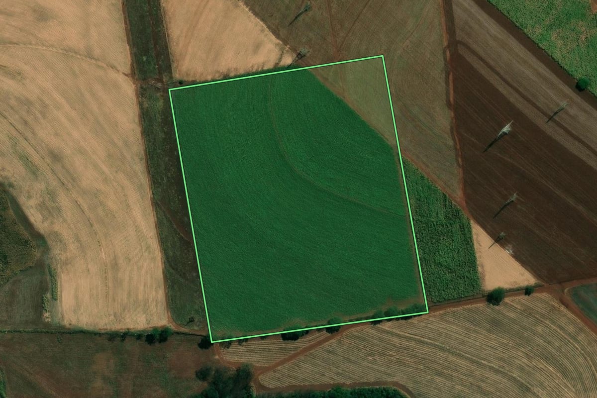 Imagem de satélite do imóvel rural em Araraquara (SP), com o contorno declarado no CAR desenhado por cima.