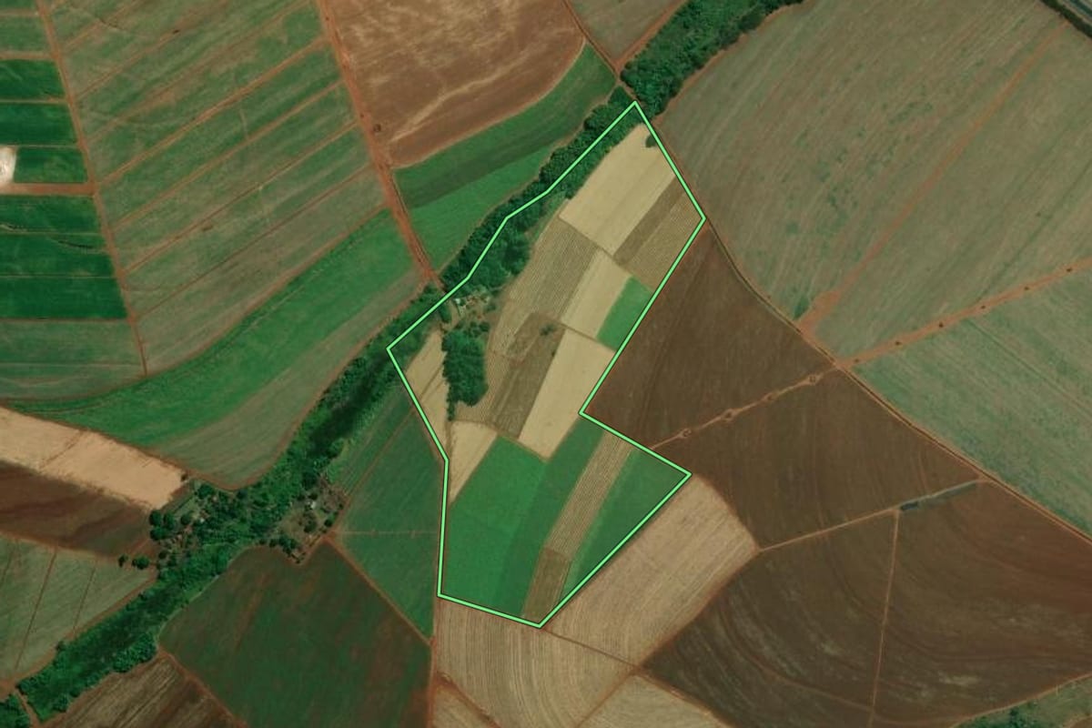 Imagem de satélite do imóvel rural em Araraquara (SP), com o contorno declarado no CAR desenhado por cima.
