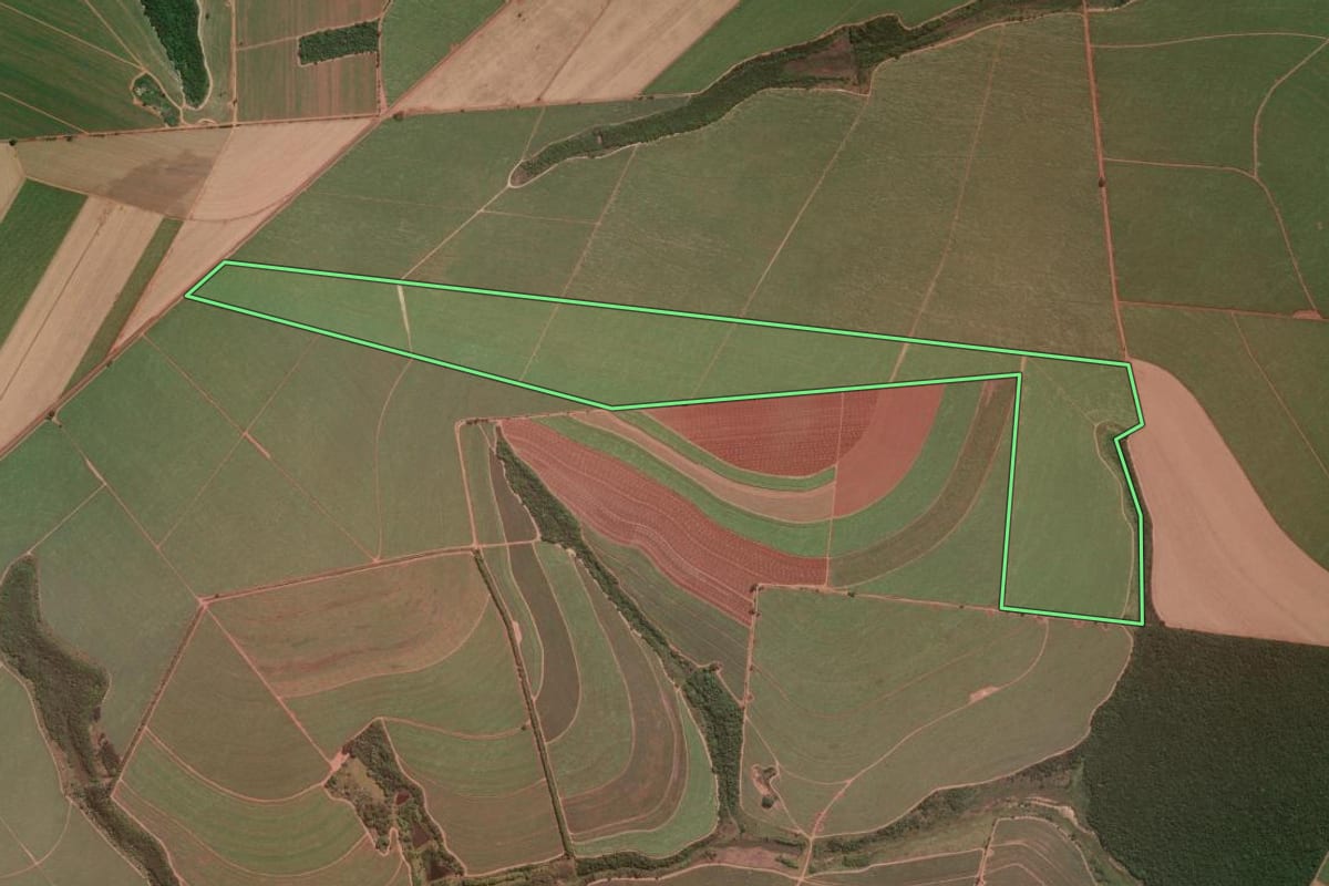 Imagem de satélite do imóvel rural em Araraquara (SP), com o contorno declarado no CAR desenhado por cima.