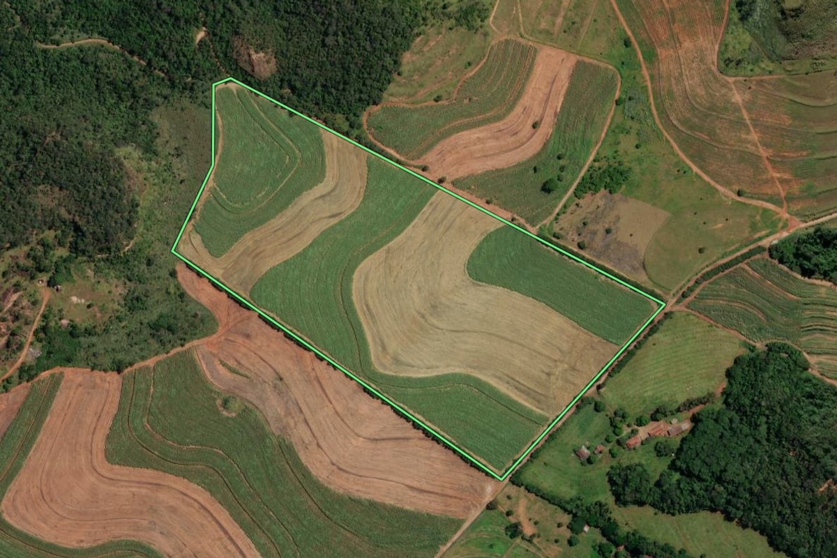 Imagem de satélite do imóvel rural em Araraquara (SP), com o contorno declarado no CAR desenhado por cima.