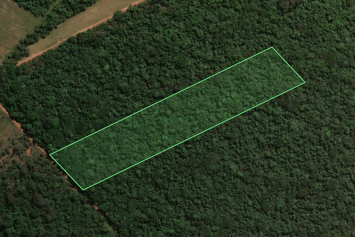 Imagem de satélite do imóvel rural em Araraquara (SP), com o contorno declarado no CAR desenhado por cima.
