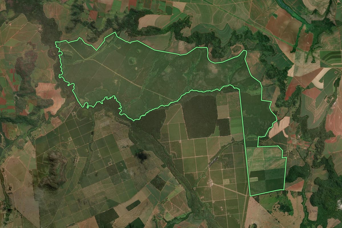 Imagem de satélite do imóvel rural em Araraquara (SP), com o contorno declarado no CAR desenhado por cima.