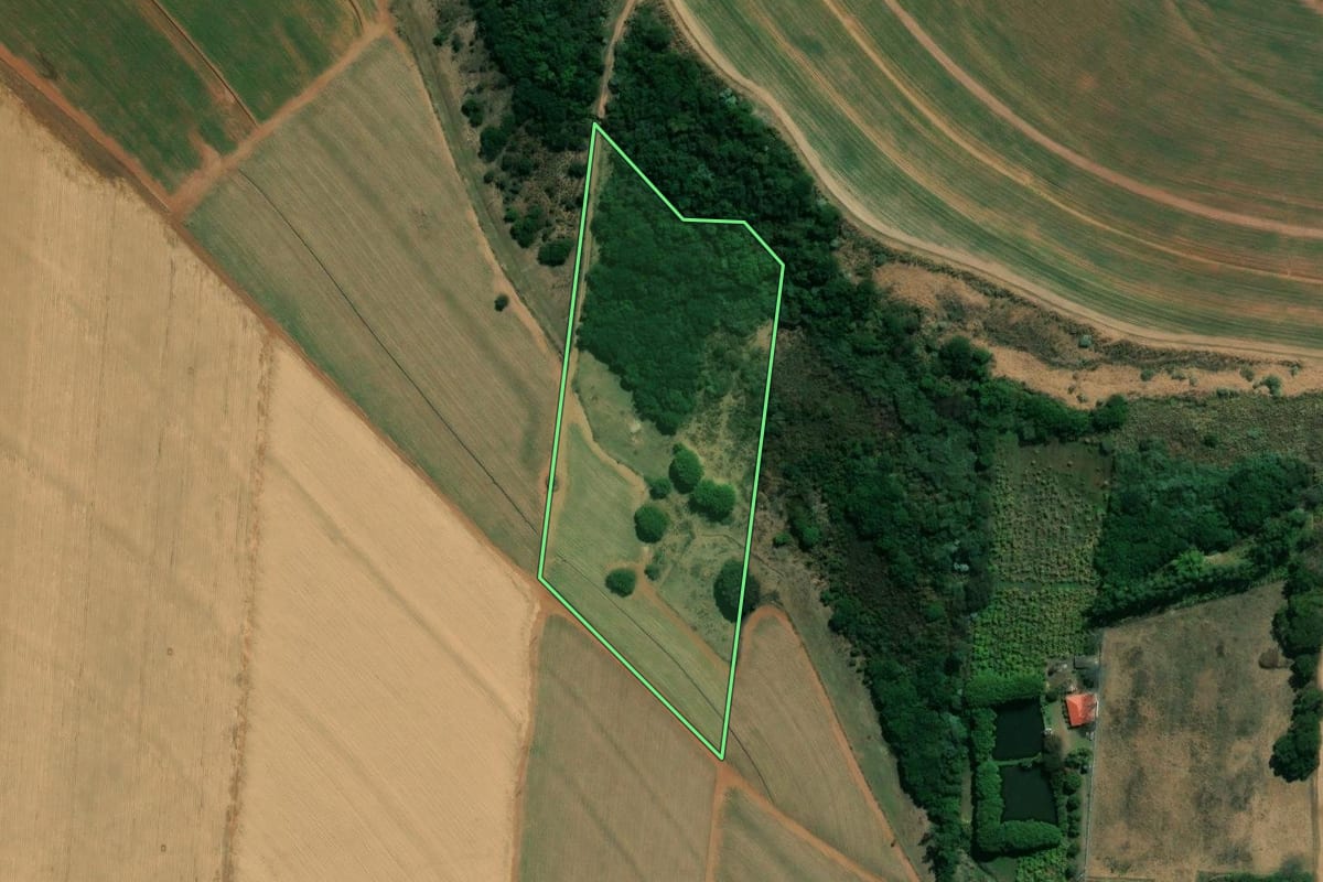 Imagem de satélite do imóvel rural em Araraquara (SP), com o contorno declarado no CAR desenhado por cima.