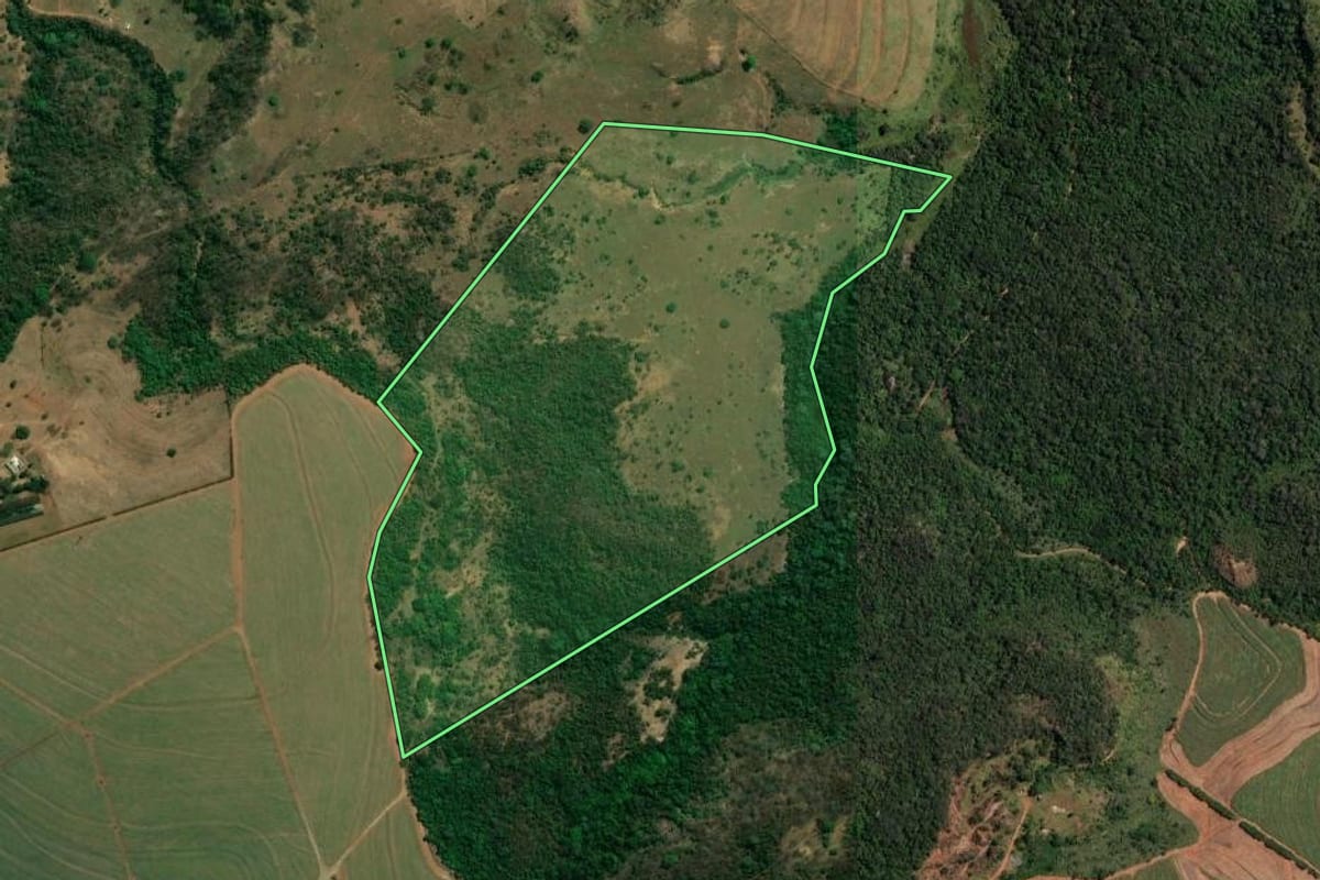 Imagem de satélite do imóvel rural em Araraquara (SP), com o contorno declarado no CAR desenhado por cima.