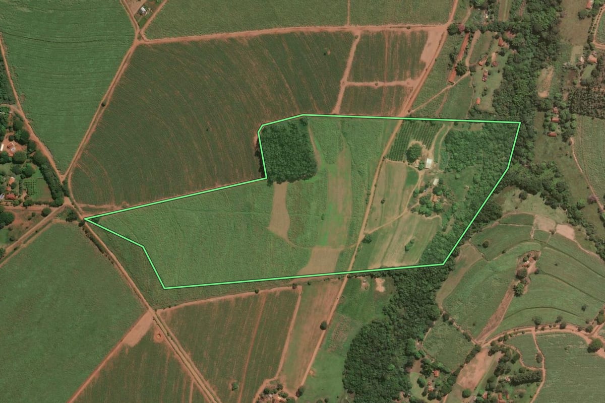 Imagem de satélite do imóvel rural em Araraquara (SP), com o contorno declarado no CAR desenhado por cima.