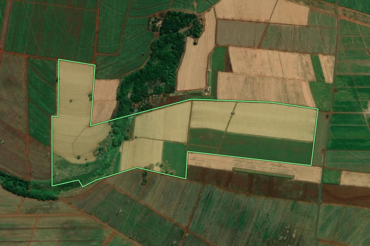 Imagem de satélite do imóvel rural em Araraquara (SP), com o contorno declarado no CAR desenhado por cima.