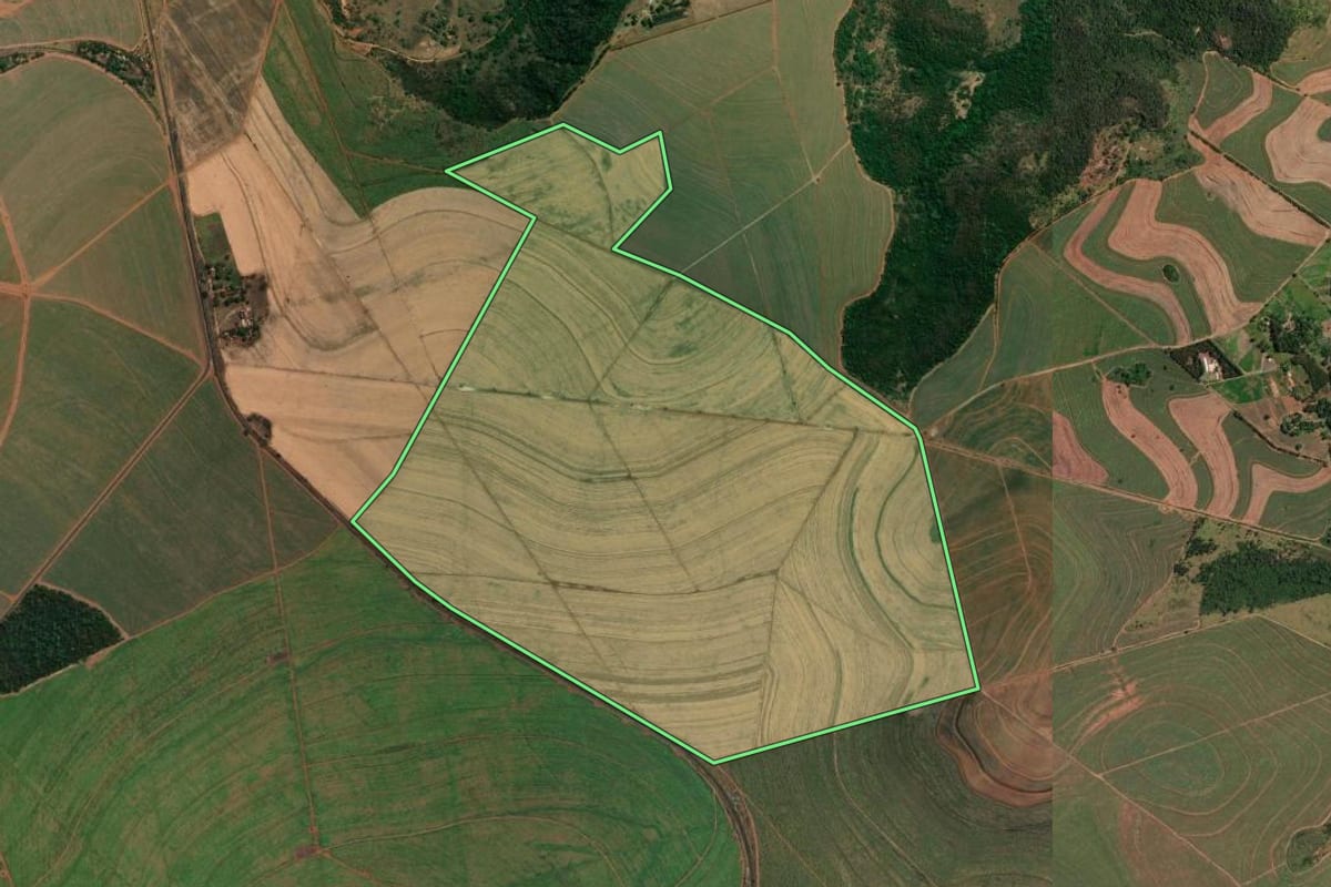 Imagem de satélite do imóvel rural em Araraquara (SP), com o contorno declarado no CAR desenhado por cima.